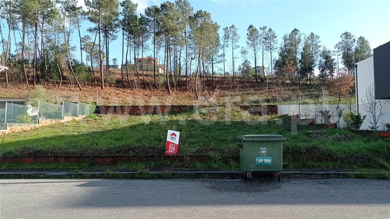 Lote  Celorico de Basto, Rego - 989239 - 17