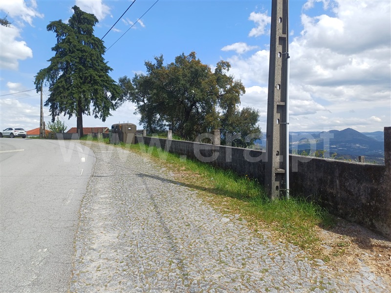 Lote  Celorico de Basto, Ribas - 520604 - 1