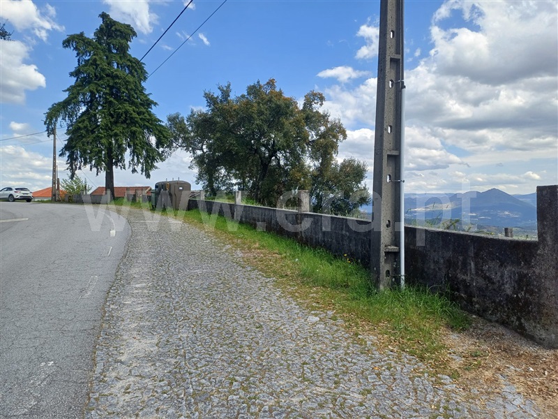Lote  Celorico de Basto, Ribas - 520604 - 2