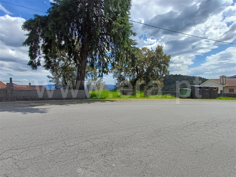 Lote / Celorico de Basto, Ribas