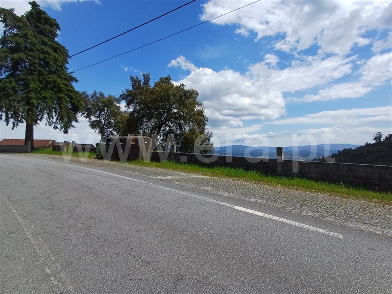 Lote  Celorico de Basto, Ribas - 520604 - 5