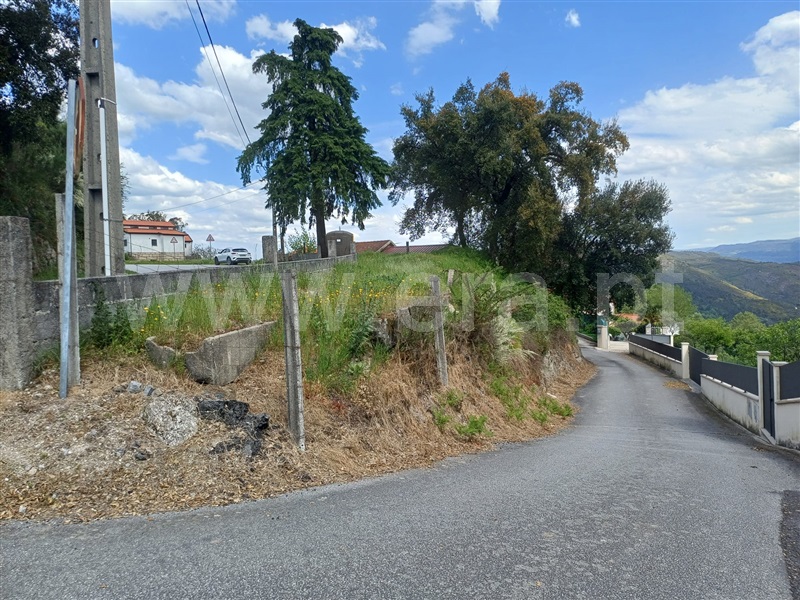 Lote  Celorico de Basto, Ribas - 520604 - 6