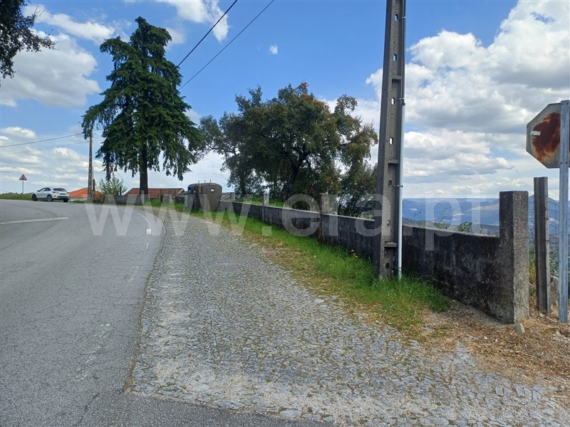 Lote  Celorico de Basto, Ribas - 520604 - 8