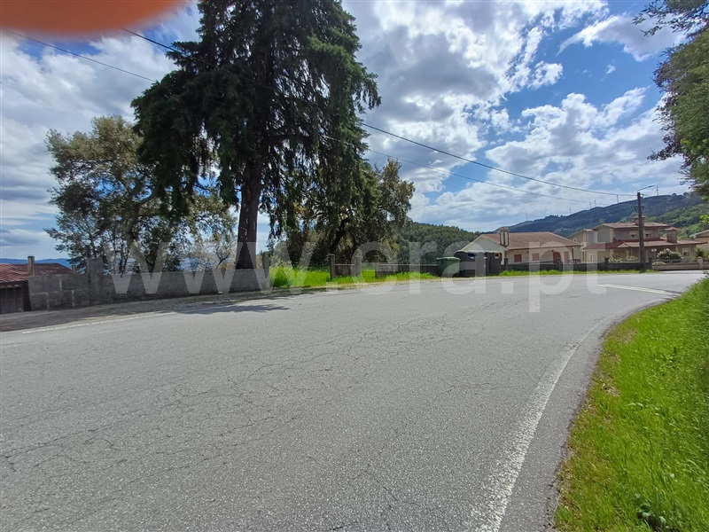 Lote  Celorico de Basto, Ribas - 520604 - 9
