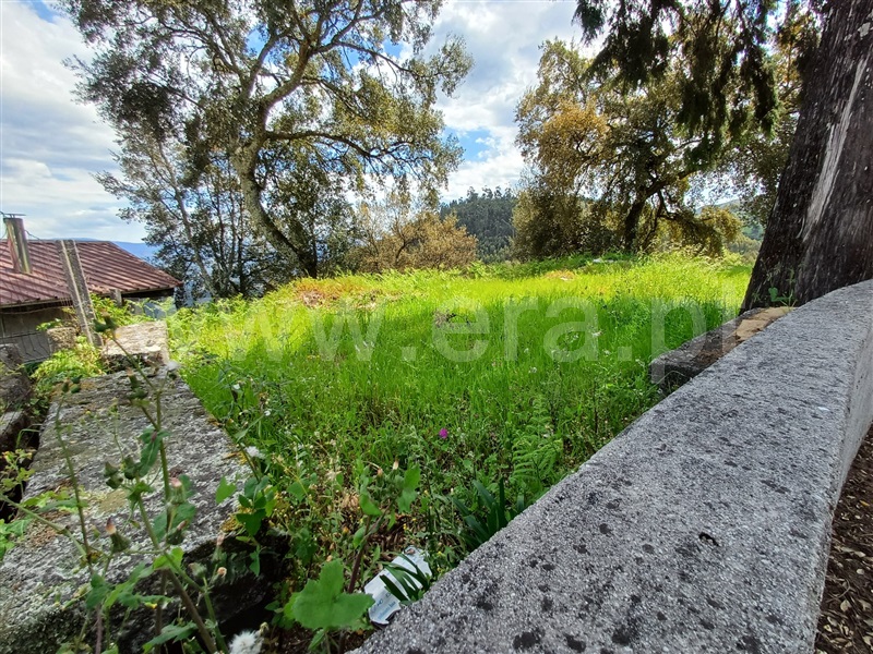 Lote  Celorico de Basto, Ribas - 520604 - 10