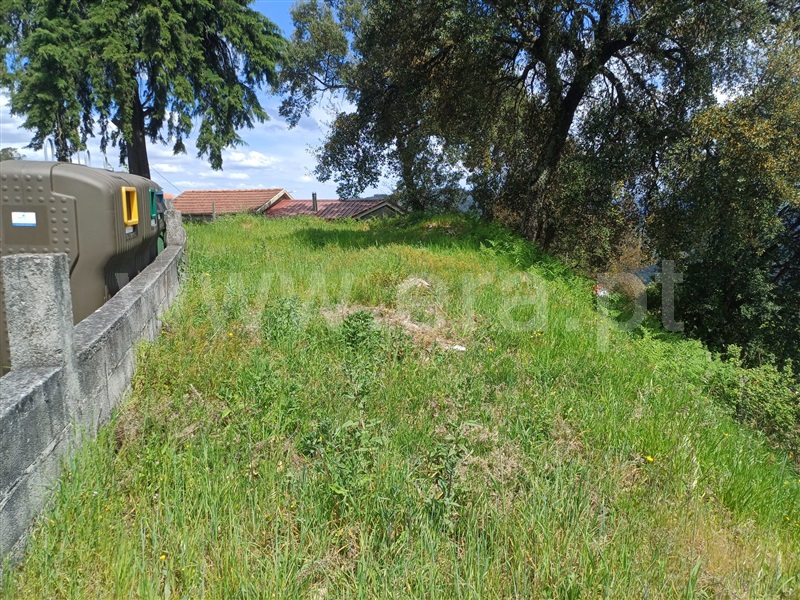Lote  Celorico de Basto, Ribas - 520604 - 11