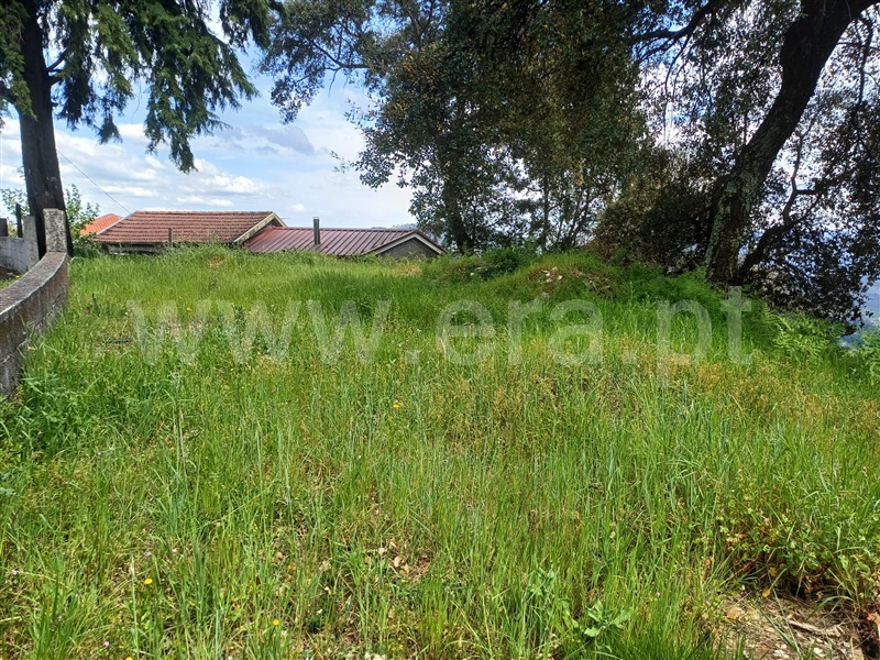 Lote  Celorico de Basto, Ribas - 520604 - 12