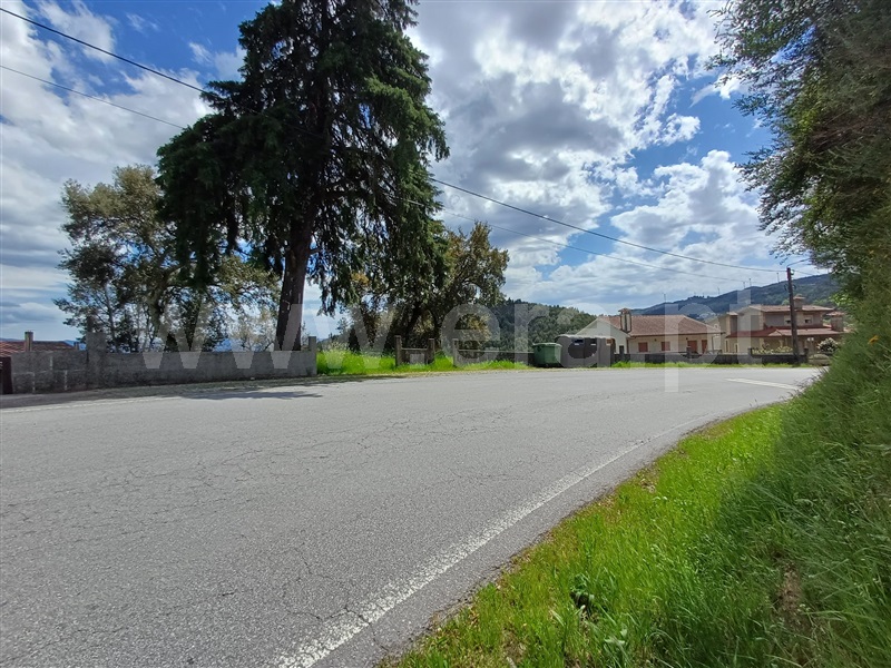 Lote  Celorico de Basto, Ribas - 520604 - 14