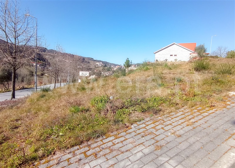 Lote  Celorico de Basto, Vale de Bouro - 1311432 - 6