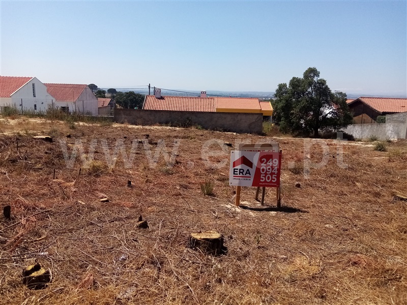 Lote  Chamusca, Carregueira - 1258775 - 4