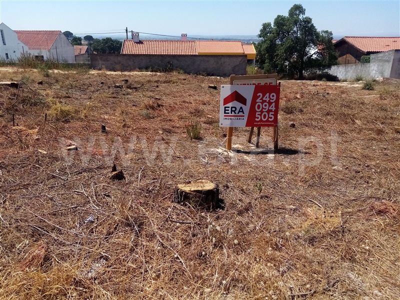 Lote  Chamusca, Carregueira - 1258775 - 5