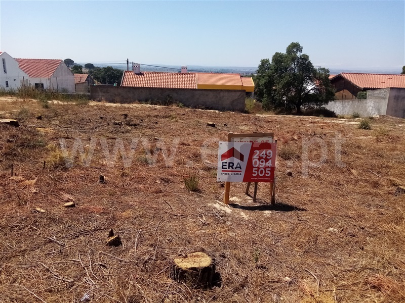 Lote / Chamusca, Carregueira