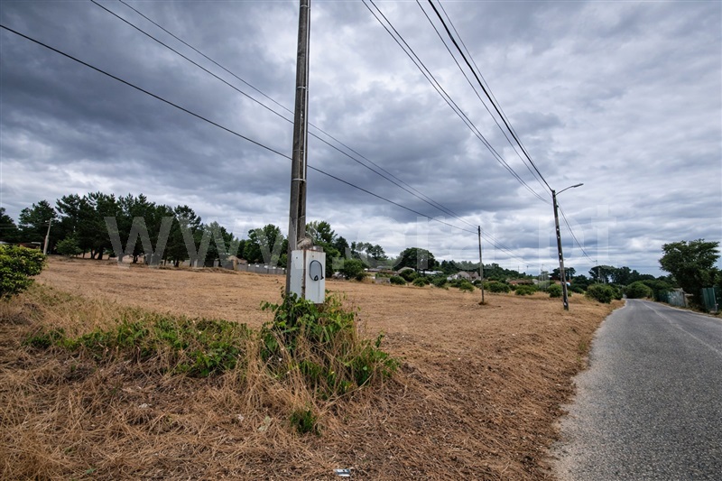 Lote / Chamusca, Chamusca e Pinheiro Grande