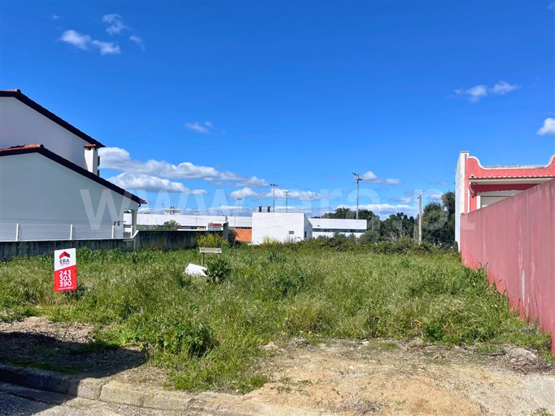 Lote / Chamusca, Chamusca