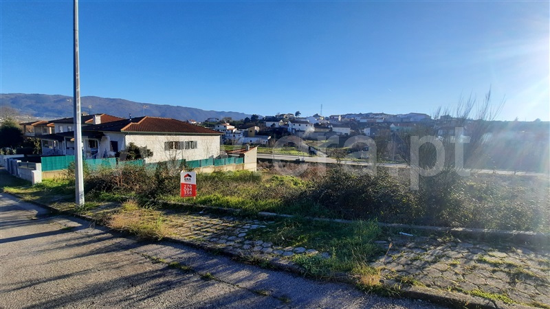 Lote / Chaves, Alto da Forca