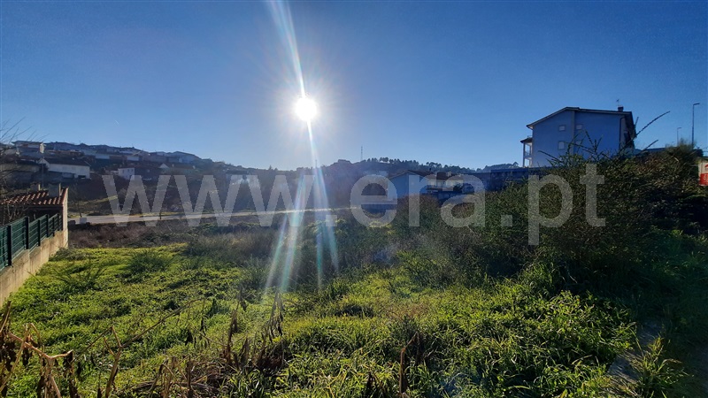 Lote / Chaves, Alto da Forca