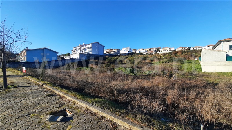 Lote / Chaves, Alto da Forca