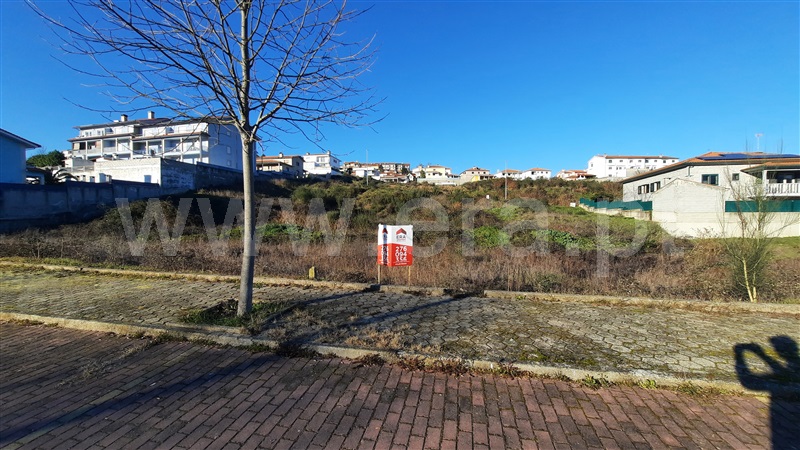 Lote / Chaves, Alto da Forca