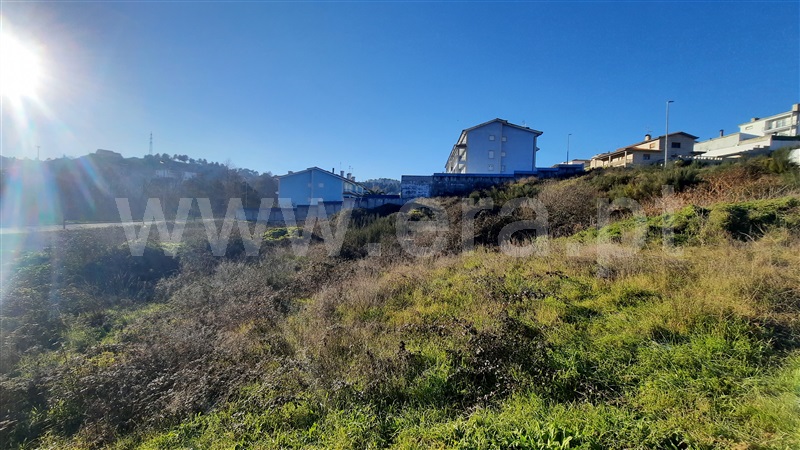 Lote  Chaves, Alto da Forca - 1302367 - 3