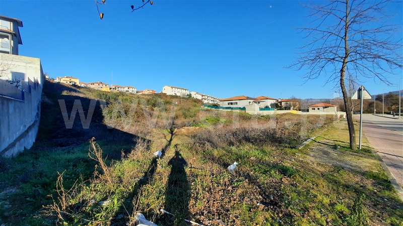 Lote / Chaves, Alto da Forca