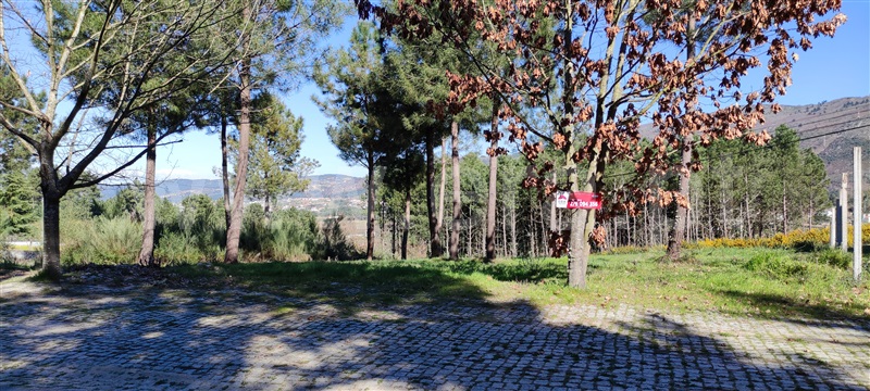 Lote / Chaves, Madalena e Samaiões