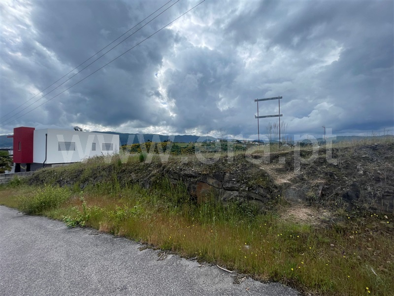 Lote  Chaves, S. Fraústo - 1476682 - 1