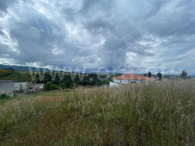 Lote  Chaves, S. Fraústo - 1476682 - 4