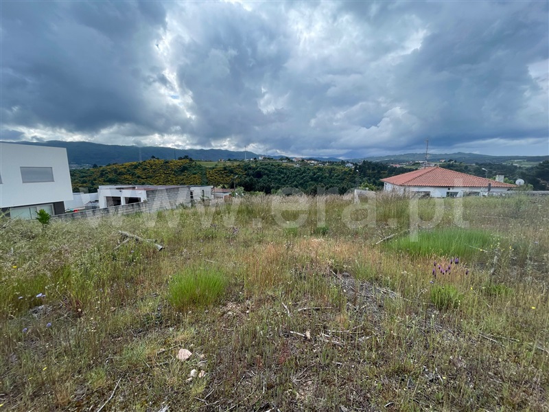 Lote  Chaves, S. Fraústo - 1476682 - 7