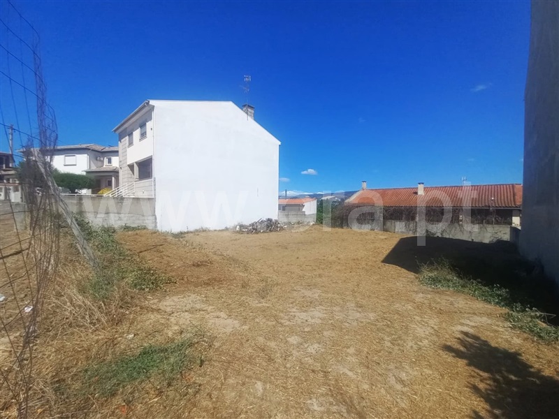 Lote / Chaves, Santa Cruz/Trindade e Sanjurge