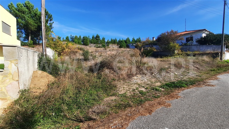 Lote  Chaves, Vale de Anta - 1051513 - 2