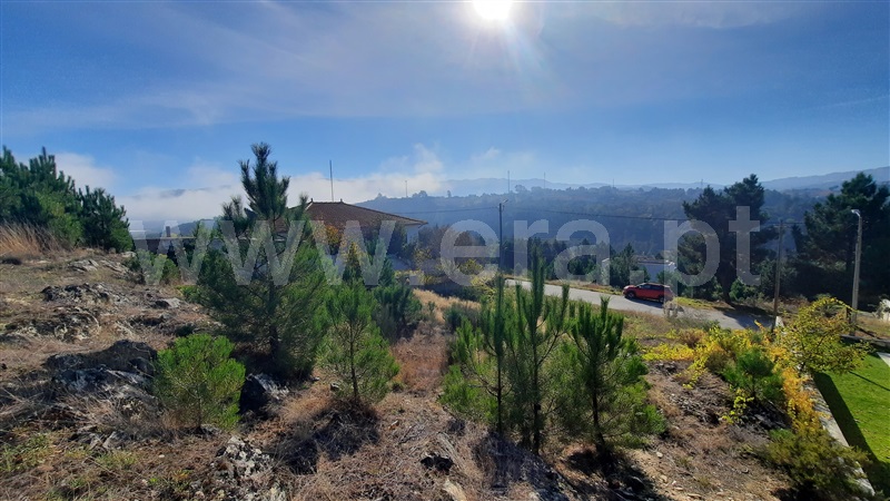 Lote  Chaves, Vale de Anta - 1051513 - 3