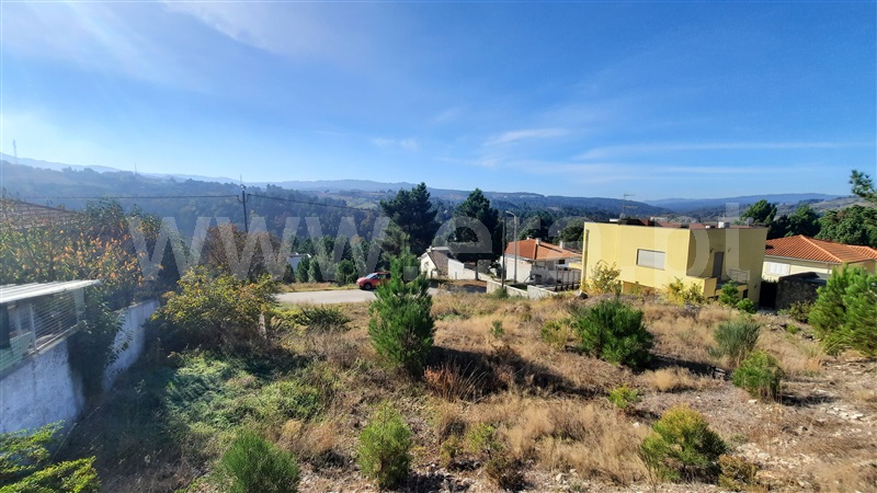 Lote  Chaves, Vale de Anta - 1051513 - 4