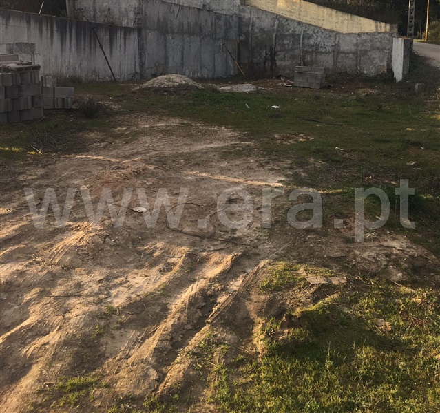 Lote  Chaves, Vale de Anta - 1143380 - 3