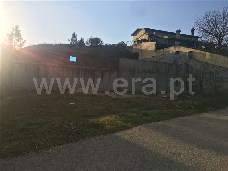 Lote  Chaves, Vale de Anta - 1143380 - 4
