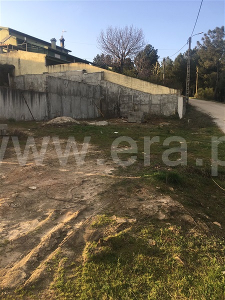 Lote  Chaves, Vale de Anta - 1143380 - 8