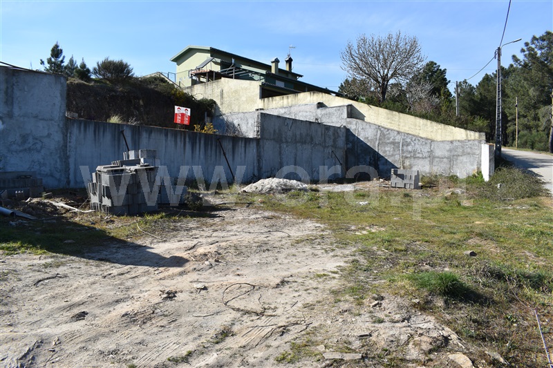 Lote  Chaves, Vale de Anta - 1143380 - 9