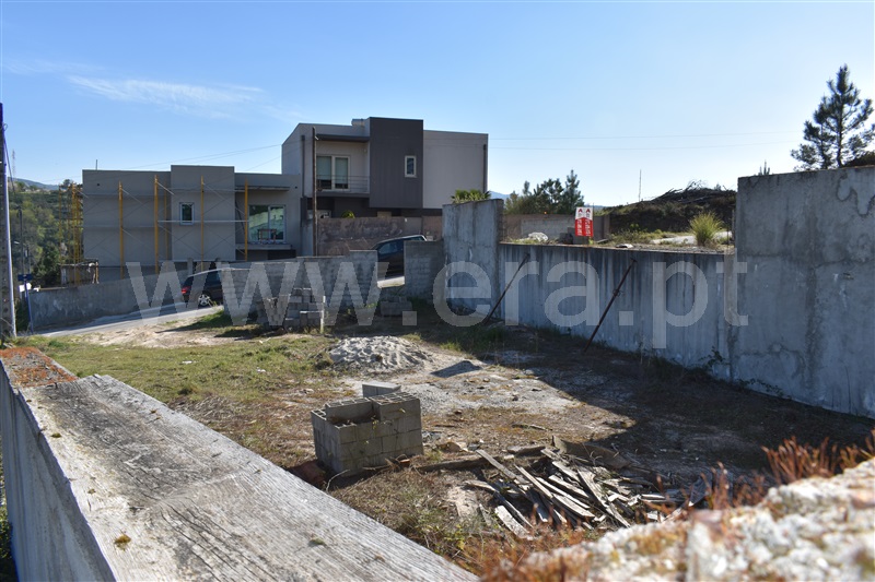 Lote  Chaves, Vale de Anta - 1143380 - 10