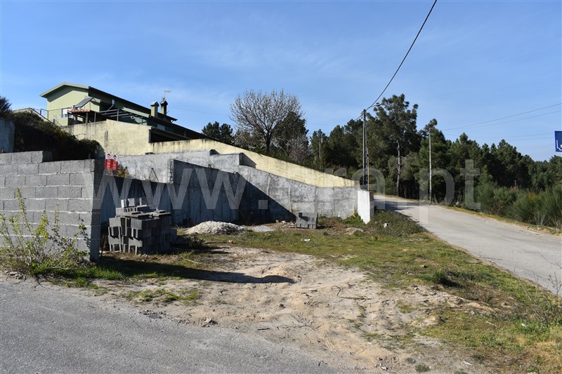 Lote  Chaves, Vale de Anta - 1143380 - 11