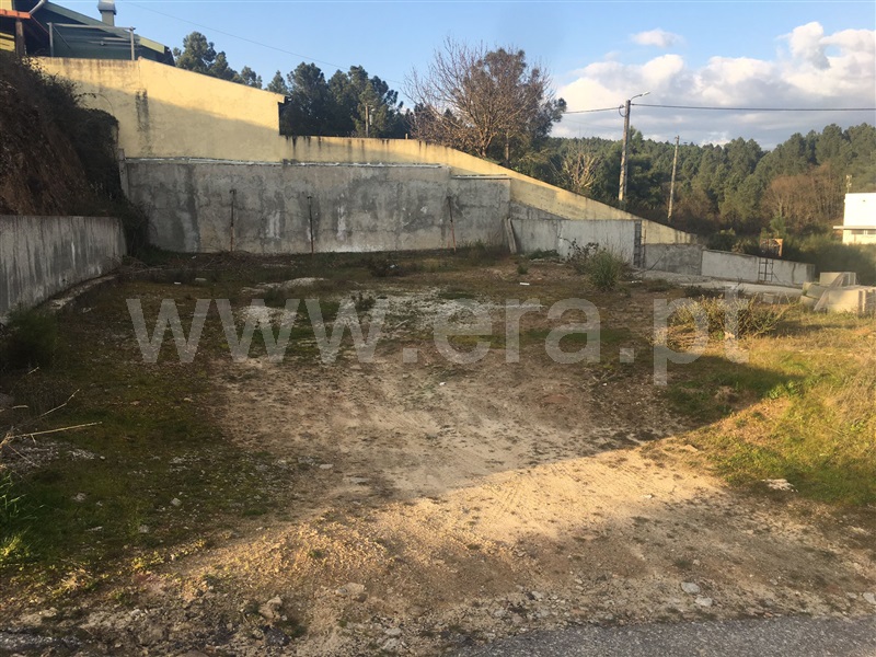 Lote  Chaves, Vale de Anta - 1143381 - 3
