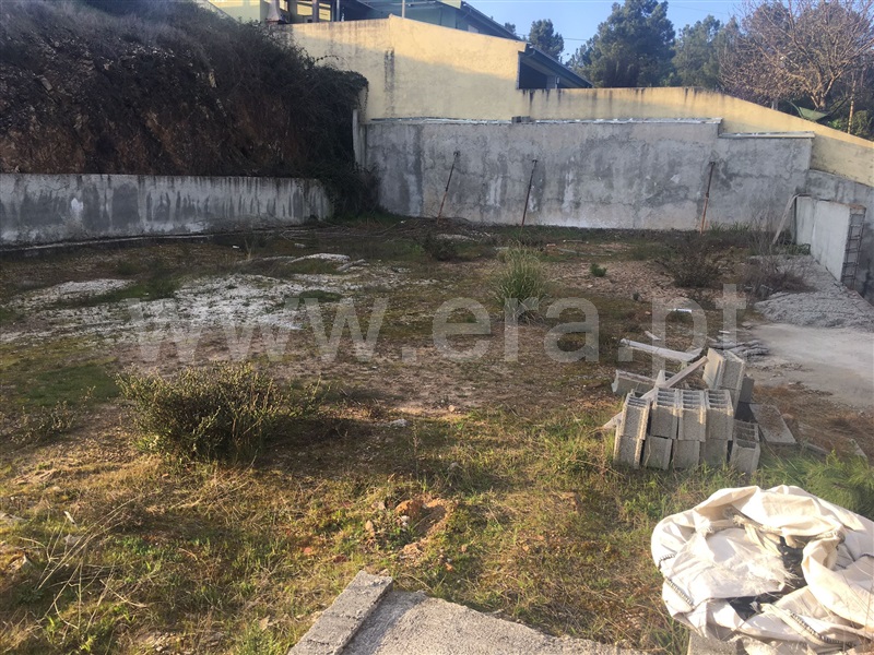 Lote  Chaves, Vale de Anta - 1143381 - 5