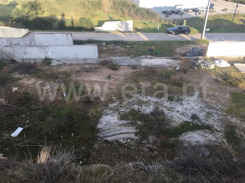 Lote  Chaves, Vale de Anta - 1143381 - 6