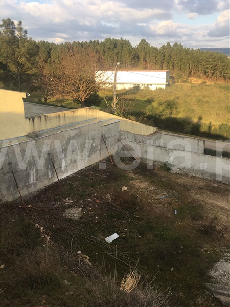 Lote  Chaves, Vale de Anta - 1143381 - 7