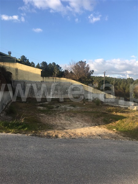 Lote  Chaves, Vale de Anta - 1143381 - 8