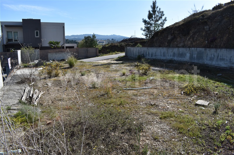 Lote / Chaves, Vale de Anta