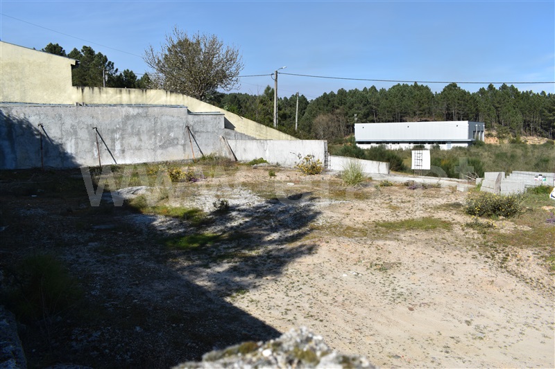 Lote  Chaves, Vale de Anta - 1143381 - 10