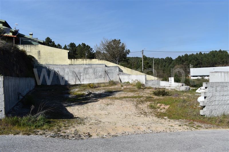 Lote  Chaves, Vale de Anta - 1143381 - 11
