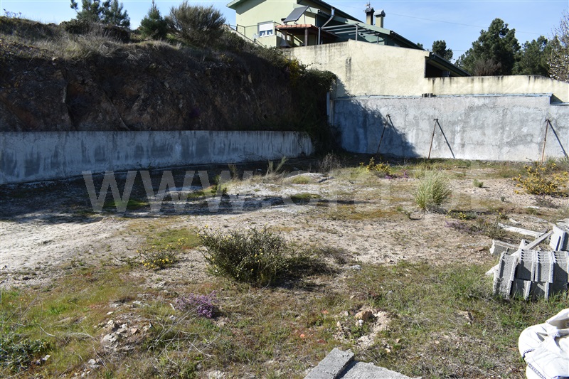 Lote  Chaves, Vale de Anta - 1143381 - 12