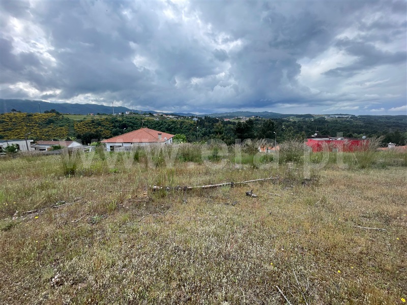 Lote  Chaves, S. Fraústo - 1476685 - 2