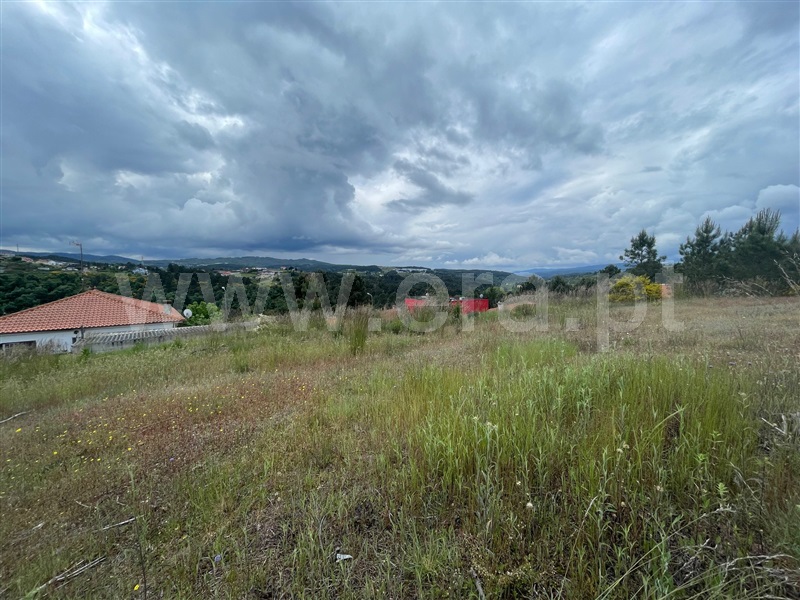 Lote  Chaves, S. Fraústo - 1476685 - 3
