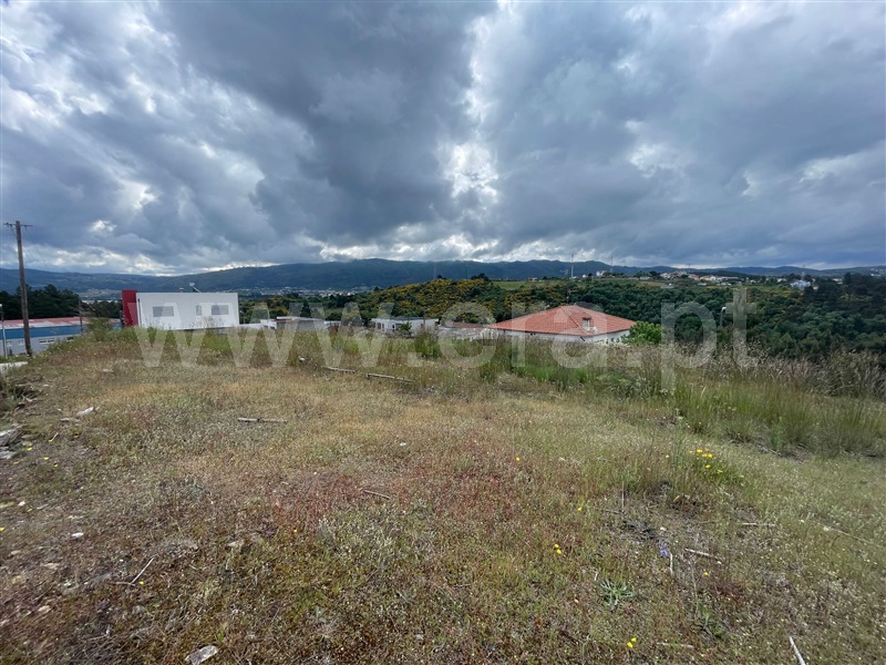 Lote  Chaves, S. Fraústo - 1476685 - 4